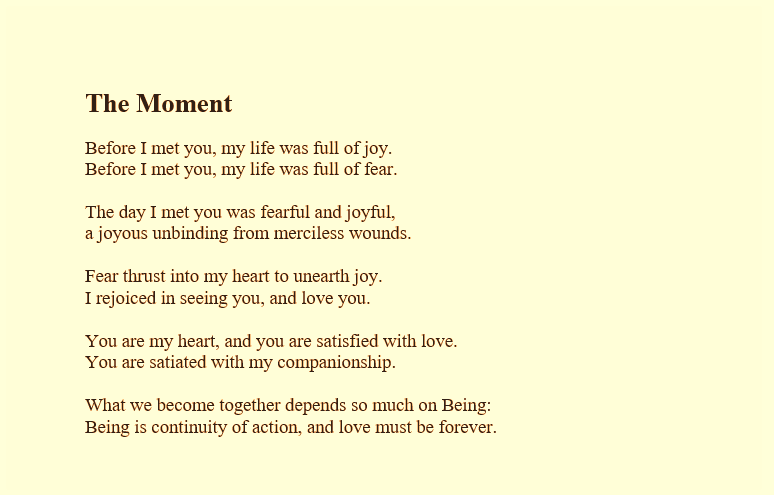 The Moment

Before I met you, my life was full of joy.
Before I met you, my life was full of fear.

The day I met you was fearful and joyful,
a joyous unbinding from merciless wounds.

Fear thrust into my heart to unearth joy.
I rejoiced in seeing you, and love you.

You are my heart, and you are satisfied with love.
You are satiated with my companionship.

What we become together depends so much on Being:
Being is continuity of action, and love must be forever.

















promising darkness

words in violation
of strict premises
	glory or face
times diluted in fear

pretense tightens the mask
a failure of childhood
	buried beside insolence
your mind lays unaddressed

who opened the door to chaos
feelings flayed in the open
	dreams and reflections
against promising darkness
















Empty Longing

I don't exist: that helpless look of duty 
is empty longings, friend. 

If your angel only cast one lumbering breath 
to hunt holiness, he will blind the livid temper 
to its egging impulses. 

Heed this prayer, o wicked deliverance, 
if kisses are tied to innocence.

