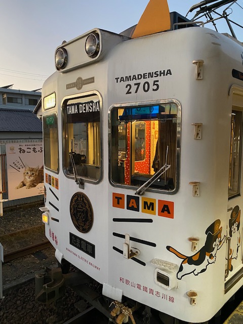 The Cat Stationmaster of Kishi – Borderless